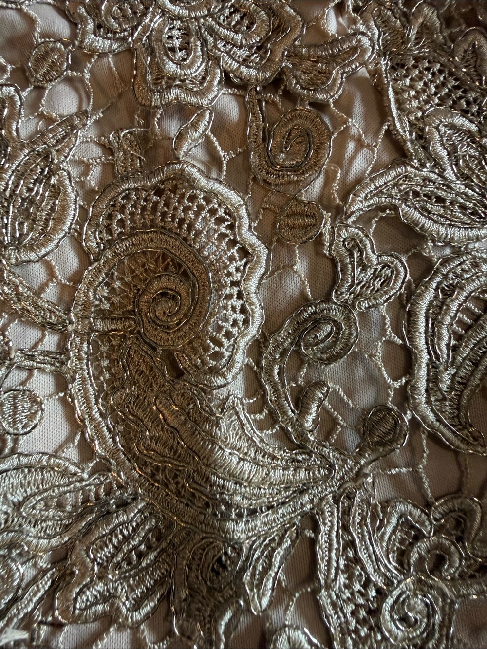Windsor Beige Lace Overlay Mini Skirt - Picture 3 of 5